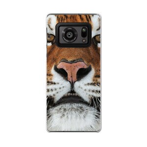 AQUOS R6 SH-51B SHARP V[v ANIX docomo hR X}z Jo[ P[X X}zP[X X}zJo[ PC n[hP[X 008090 ʐ^@g@Ձ@