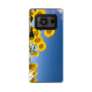 AQUOS R6 SH-51B SHARP �V���[�v �A�N�I�X docomo �h�R�� �X�}�z �J�o�[ �P�[�X �X�}�z�P�[�X �X�}�z�J�o�[ PC �n�[�h�P�[�X 009265 �t�����[�@�Ђ܂��@�ʐ^