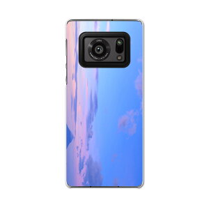 AQUOS R6 SH-51B SHARP V[v ANIX docomo hR X}z Jo[ P[X X}zP[X X}zJo[ PC n[hP[X 009377 i@iF@ʐ^