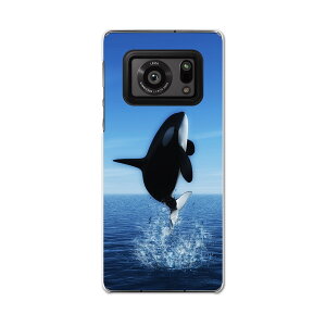 AQUOS R6 SH-51B SHARP V[v ANIX docomo hR X}z Jo[ P[X X}zP[X X}zJo[ PC n[hP[X 010806 V`@@C