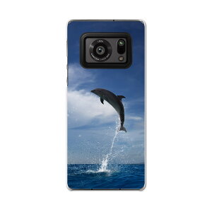 AQUOS R6 SH-51B SHARP �V���[�v �A�N�I�X docomo �h�R�� �X�}�z �J�o�[ �P�[�X �X�}�z�P�[�X �X�}�z�J�o�[ PC �n�[�h�P�[�X 010965 �C�@�C���J�@�ʐ^