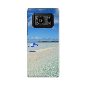 AQUOS R6 SH-51B SHARP V[v ANIX docomo hR X}z Jo[ P[X X}zP[X X}zJo[ PC n[hP[X 011236 C@r[`@][g