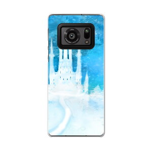 AQUOS R6 SH-51B SHARP V[v ANIX docomo hR X}z Jo[ P[X X}zP[X X}zJo[ PC n[hP[X 011329 @@