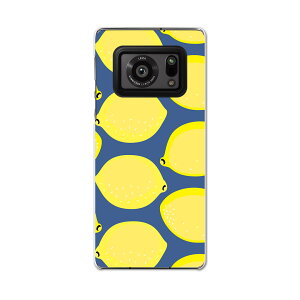 AQUOS R6 SH-51B SHARP V[v ANIX docomo hR X}z Jo[ P[X X}zP[X X}zJo[ PC n[hP[X 011985 @@F