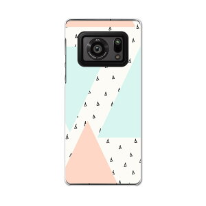 AQUOS R6 SH-51B SHARP �V���[�v �A�N�I�X docomo �h�R�� �X�}�z �J�o�[ �P�[�X �X�}�z�P�[�X �X�}�z�J�o�[ PC �n�[�h�P�[�X 012100 �͗l�@���@�O�p