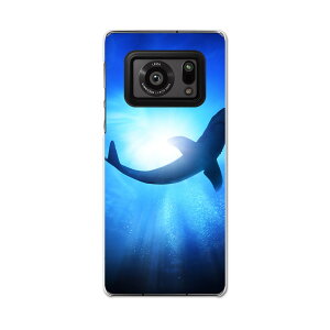 AQUOS R6 SH-51B SHARP V[v ANIX docomo hR X}z Jo[ P[X X}zP[X X}zJo[ PC n[hP[X 012652 @@C
