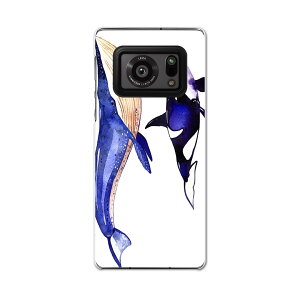 AQUOS R6 SH-51B SHARP V[v ANIX docomo hR X}z Jo[ P[X X}zP[X X}zJo[ PC n[hP[X 014703 C@CJ@NW