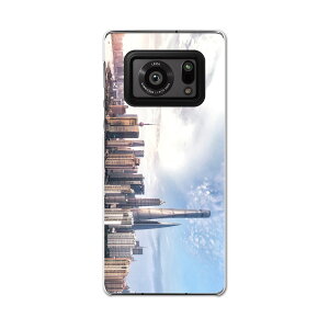 AQUOS R6 SH-51B SHARP V[v ANIX docomo hR X}z Jo[ P[X X}zP[X X}zJo[ PC n[hP[X 014922 iF@r@