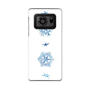 AQUOS R6 SH-51B SHARP V[v ANIX docomo hR X}z Jo[ P[X X}zP[X X}zJo[ PC n[hP[X 015596 ̌@~@pXe