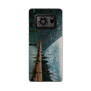AQUOS R6 SH-51B SHARP �V���[�v �A�N�I�X docomo �h�R�� �X�}�z �J�o�[ �P�[�X �X�}�z�P�[�X �X�}�z�J�o�[ PC �n�[�h�P�[�X 015655 ���i�@�ʐ^�@���R