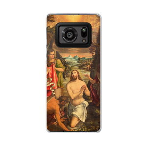 AQUOS R6 SH-51B SHARP V[v ANIX docomo hR X}z Jo[ P[X X}zP[X X}zJo[ PC n[hP[X 016396 G