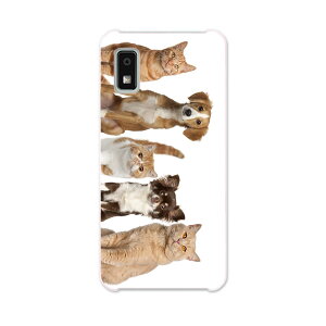 AQUOS wish2 / wish �p�n�[�h �P�[�X SH-51C / SHG06 / A104SH / SH-M20 �e�L�����A ���ʑΉ� �P�[�X �J�o�[ sh51c �n�[�h�P�[�X 002789 ���@�L�@�����@�ʐ^