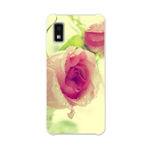 AQUOS wish2 / wish �p�n�[�h �P�[�X SH-51C / SHG06 / A104SH / SH-M20 �e�L�����A ���ʑΉ� �P�[�X �J�o�[ sh51c �n�[�h�P�[�X 006595 �ʐ^�@��