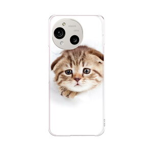 AQUOS R10 �p �X�}�z�P�[�X SH-51F / A501SH / SH-M31 ���ʑΉ� sh51f �P�[�X �J�o�[ �n�[�h�P�[�X 013568 �L�@�ʐ^�@�q�L