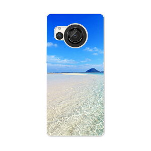 AQUOS R8 pn[h P[X SH-52D Ή P[X Jo[ sh52d n[hP[X 011362 C@r[`@