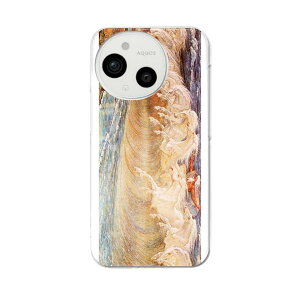 AQUOS sense9 p X}zP[X SH-53E / SHG14 / SH-M29 ʑΉ sh53e P[X Jo[ n[hP[X 003223 C@G@CXg