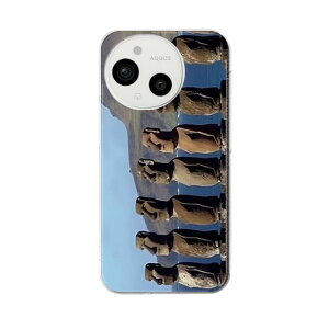 AQUOS sense9 �p �X�}�z�P�[�X SH-53E / SHG14 / SH-M29 ���ʑΉ� sh53e �P�[�X �J�o�[ �n�[�h�P�[�X 033636 ���A�C��