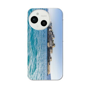 AQUOS sense9 �p �X�}�z�P�[�X SH-53E / SHG14 / SH-M29 ���ʑΉ� sh53e �P�[�X �J�o�[ �n�[�h�P�[�X 018343 �C �R �ʐ^ ��