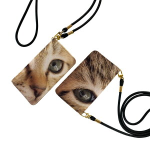 SO-03H Xperia Z5 premium GNXyA v~A Xgbvt so03h P[X V_[ X}z h~ 蒠^ }Olbg s^bƕ܂ X}zJo[ | ΂߂ 001172 lR@