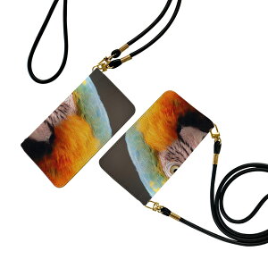 Arrows We F-51B FCG01 p P[X Jo[ 蒠 f51d ʑΉ Xgbvt P[X V_[ X}z h~ 蒠^ }Olbg s^bƕ܂ X}zJo[ | ΂߂ 022983 IE@