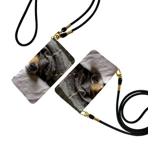 Arrows We F-51B FCG01 p P[X Jo[ 蒠 f51d ʑΉ Xgbvt P[X V_[ X}z h~ 蒠^ }Olbg s^bƕ܂ X}zJo[ | ΂߂ 023225 @ʐ^