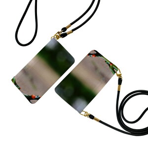 iPhone16plus 6.7C` p eLA iPhone 16 plus ʑΉ 蒠^ P[X Jo[ iphone16plus Ή Xgbvt V_[ X}z h~ 蒠^ }Olbg s^bƕ܂ X}zJo