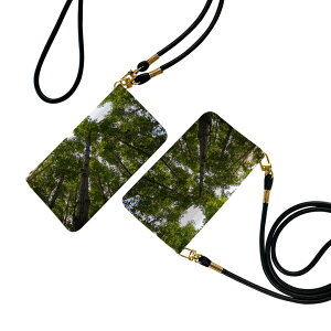 iPhone16 6.1C` p eLA iPhone 16 ʑΉ 蒠^ P[X Jo[ iphone16 Ή Xgbvt V_[ X}z h~ 蒠^ }Olbg s^bƕ܂ X}zJo[ | 