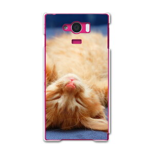 SHV31 AQUOS SERIE mini ANIXZG~j shv31 au G[[ X}z Jo[ X}zP[X X}zJo[ PC n[hP[X L@@ʐ^ Aj} 002759