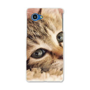 SHV38 AQUOS SERIE mini セリエ ミニ shv38 au エーユー スマホ カバー スマホケース スマホカバー PC ハードケース ネコ 動物 アニマル 001172