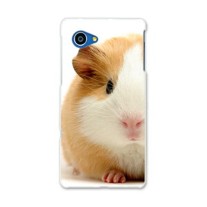 SHV38 AQUOS SERIE mini セリエ ミニ shv38 au エーユー スマホ カバー スマホケース スマホカバー PC ハードケース 写真 動物 ハムスター アニマル 写真・風景 006036