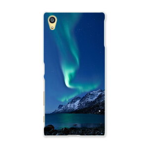 SO-01H Xperia Z5 �G�N�X�y���Az5 Sony �\�j�[ docomo �h�R�� �X�}�z �J�o�[ �P�[�X �X�}�z�P�[�X �X�}�z�J�o�[ PC �n�[�h�P�[�X 002450 �I�[�����@�i�F�@���i