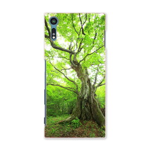 SOV35 Xperia XZs �G�N�X�y���A XZs au �G�[���[ �X�}�z �J�o�[ �P�[�X �X�}�z�P�[�X �X�}�z�J�o�[ TPU �\�t�g�P�[�X �ʐ^ �X �A�� �ʐ^�E���i 005452