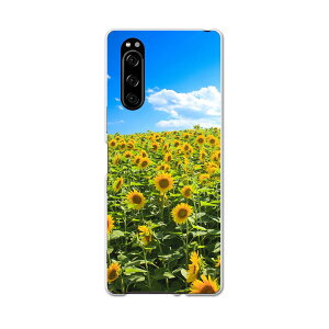 902SO Xperia 5 GNXyA t@Cu 902so softbank \tgoN X}z Jo[ S@Ή  P[X X}zP[X X}zJo[ TPU \tgP[X 007936 ʐ^@ԁ@t[@@Ђ܂