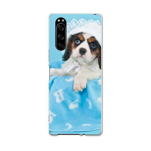 SO-01M Xperia 5 �G�N�X�y���A �t�@�C�u so01m docomo �h�R�� �X�}�z �J�o�[ �S�@��Ή� ���� �P�[�X �X�}�z�P�[�X �X�}�z�J�o�[ TPU �\�t�g�P�[�X 008499 �ʐ^�@���F�@�@�u���[�@��
