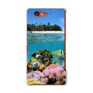 SO-02G Xperia Z3@compact GNXyA so02g docomo hR X}z Jo[ P[X X}zP[X X}zJo[ TPU \tgP[X C@O@ʐ^@iF N[ ʐ^Ei 003328