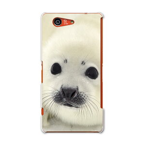 SO-02G Xperia Z3@compact GNXyA z3 RpNg so02g docomo hR X}z Jo[ P[X X}zP[X X}zJo[ PC n[hP[X @ʐ^ Aj} 003567