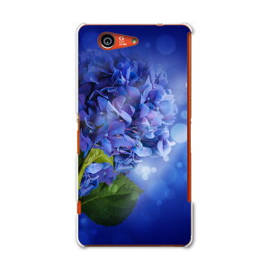 SO-02G Xperia Z3�@compact �G�N�X�y���A so02g docomo �h�R�� �X�}�z �J�o�[ �P�[�X �X�}�z�P�[�X �X�}�z�J�o�[ TPU �\�t�g�P�[�X �ԁ@���������@�� �t�����[ 005238
