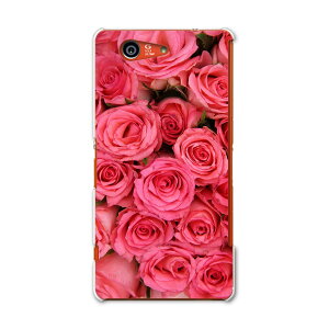 SO-02G Xperia Z3�@compact �G�N�X�y���A z3 �R���p�N�g so02g docomo �h�R�� �X�}�z �J�o�[ �P�[�X �X�}�z�P�[�X �X�}�z�J�o�[ PC �n�[�h�P�[�X �ԁ@�K�N�@�s���N �ʐ^�E���i �t�����[ 005315