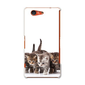 SO-02G Xperia Z3�@compact �G�N�X�y���A z3 �R���p�N�g so02g docomo �h�R�� �X�}�z �J�o�[ �P�[�X �X�}�z�P�[�X �X�}�z�J�o�[ PC �n�[�h�P�[�X �ʐ^�@�����@�L�@�˂� �A�j�}�� �ʐ^�E���i 005928