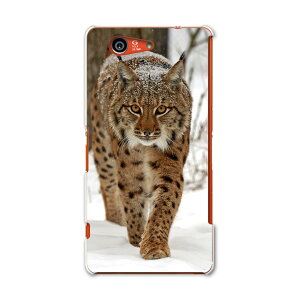 SO-02G Xperia Z3�@compact �G�N�X�y���A z3 �R���p�N�g so02g docomo �h�R�� �X�}�z �J�o�[ �P�[�X �X�}�z�P�[�X �X�}�z�J�o�[ PC �n�[�h�P�[�X �ʐ^�@�����@�� �A�j�}�� 006779