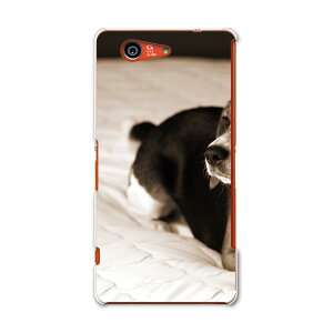 SO-02G Xperia Z3 compact �G�N�X�y���A z3 �R���p�N�g so02g docomo �h�R�� �X�}�z �J�o�[ �P�[�X �X�}�z�P�[�X �X�}�z�J�o�[ PC �n�[�h�P�[�X �ʐ^ �Z�s�A �� �A�j�}�� 008194