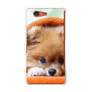 SO-02G Xperia Z3 compact �G�N�X�y���A z3 �R���p�N�g so02g docomo �h�R�� �X�}�z �J�o�[ �P�[�X �X�}�z�P�[�X �X�}�z�J�o�[ PC �n�[�h�P�[�X �� �ʐ^ �I�����W �A�j�}�� �ʐ^�E���i 008644