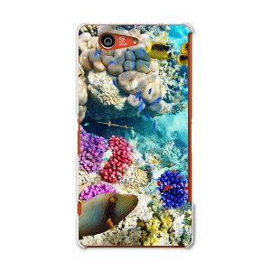 SO-02G Xperia Z3 compact �G�N�X�y���A z3 �R���p�N�g so02g docomo �h�R�� �X�}�z �J�o�[ �P�[�X �X�}�z�P�[�X �X�}�z�J�o�[ PC �n�[�h�P�[�X �ʐ^ �� �C �X�� �ʐ^�E���i 008923
