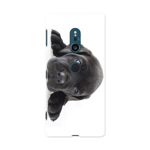 SO-03K Xperia XZ2 �G�N�X�y���A �G�b�N�X�[�b�g�c�[ docomo so03k �h�R�� �X�}�z �J�o�[ �X�}�z�P�[�X �X�}�z�J�o�[ PC �n�[�h�P�[�X 000127 �� �� �t�����`�u���h�b�N �_�b�N�X�t���g