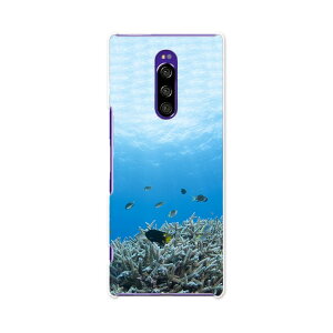 SOV40 Xperia 1 GNXyA  au G[[ sov40 X}z Jo[ P[X X}zP[X X}zJo[ TPU \tgP[X 000060 C@@R@TS