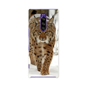 SOV40 Xperia 1 GNXyA  au G[[ sov40 X}z Jo[ P[X X}zP[X X}zJo[ TPU \tgP[X 006779 ʐ^@@