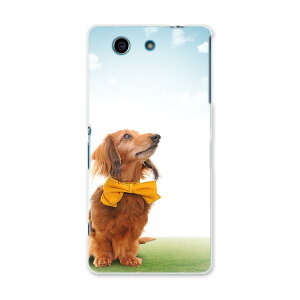 SO-04G Xperia A4 GNXyA so04g docomo hR X}z Jo[ X}zP[X X}zJo[ PC n[hP[X   ʐ^ Aj} 002852