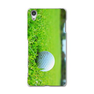 SOV33 X}z Jo[ SOV33 P[X X}zP[X X}zJo[ TPU \tgP[X Xperia X Performance GNXyA X ptH[}X St Ő X|[c X|[c 000255 Sony \j[ au G[[