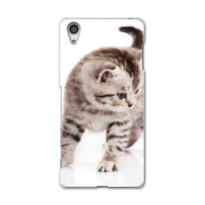 SOV33 X}z Jo[ SOV33 P[X X}zP[X X}zJo[ TPU \tgP[X Xperia X Performance GNXyA X ptH[}X ʐ^ lR ˂ ʐ^Ei 006228 Sony \j[ au G[[
