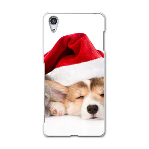 SOV33 X}z Jo[ SOV33 P[X X}zP[X X}zJo[ TPU \tgP[X Xperia X Performance GNXyA X ptH[}X  L Xq ʐ^ Aj} ʐ^Ei 008645 Sony \j[ au G[[